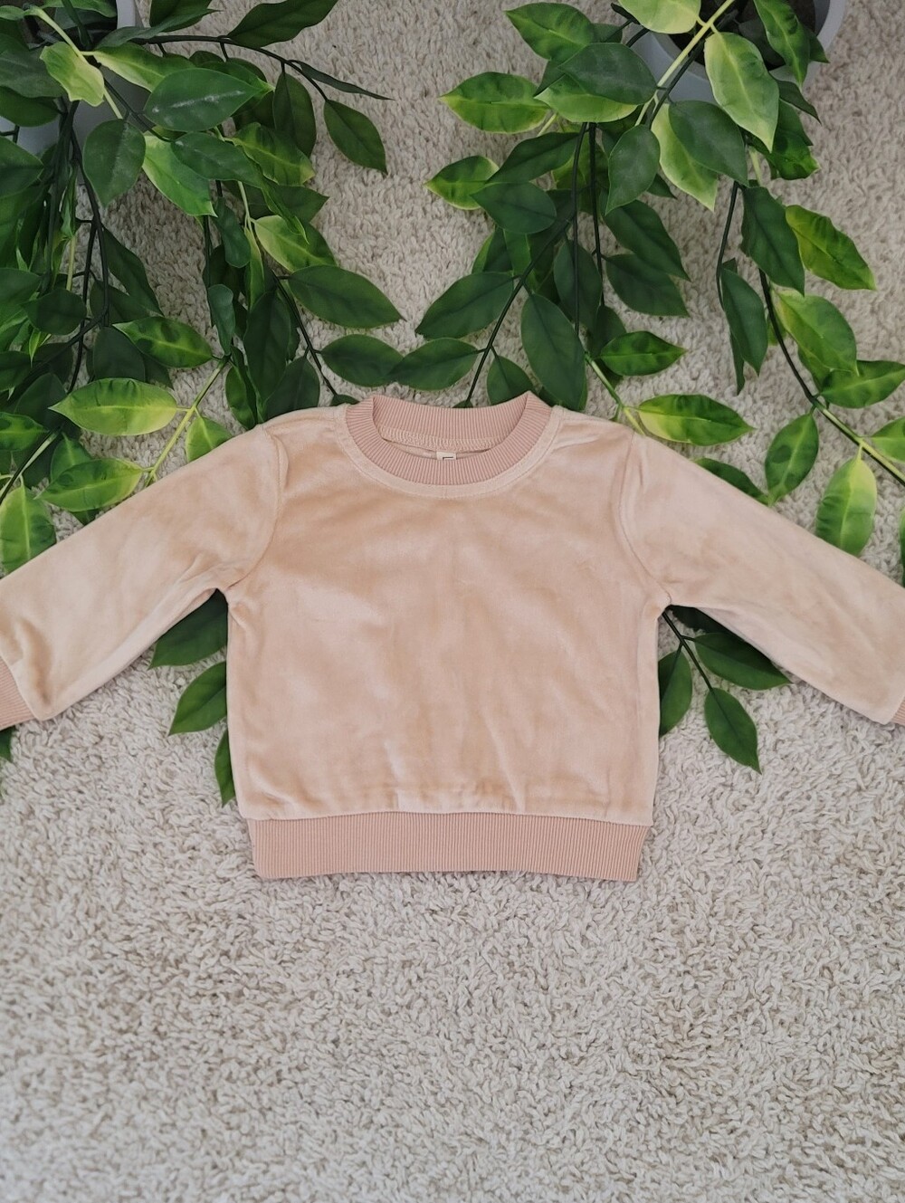Baby Boy Tan Sweatshirt (6-9 Months)